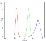 Flow cytometry testing of human Caco-2 cells with RAB3GAP2 antibody at 1ug/million cells (blocked with goat sera); Red=cells alone, Green=isotype control, Blue= RAB3GAP2 antibody.
