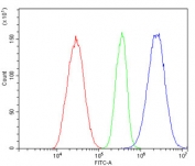 Flow cytometry testing of human HepG2 cells with SGLT2 antibody at 1ug/million cells (blocked with goat sera); Red=cells alone, Green=isotype control, Blue= SGLT2 antibody.