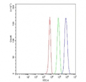 Flow cytometry testing of fixed and permeabilized human K562 cells with EZH2 antibody at 1ug/million cells (blocked with goat sera); Red=cells alone, Green=isotype control, Blue= EZH2 antibody.