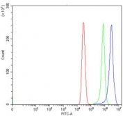 Flow cytometry testing of human MCF7 cells with HDAC3 antibody at 1ug/million cells (blocked with goat sera); Red=cells alone, Green=isotype control, Blue= HDAC3 antibody.