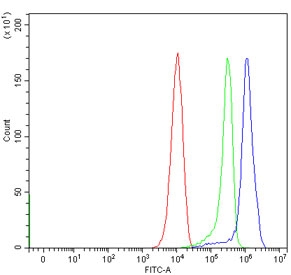 Flow cytometry testing of mouse RAW264.7 cells with HDAC3 antibody at 1ug/million cells (blocked with goat sera); Red=cells alone, Green=isotype control, Blue= HDAC3 antibody.