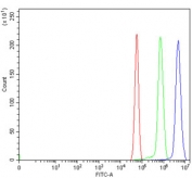 Flow cytometry testing of rat RH35 cells with HDAC3 antibody at 1ug/million cells (blocked with goat sera); Red=cells alone, Green=isotype control, Blue= HDAC3 antibody.