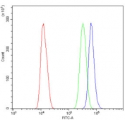Flow cytometry testing of human U937 cells with LBR antibody at 1ug/million cells (blocked with goat sera); Red=cells alone, Green=isotype control, Blue= LBR antibody.