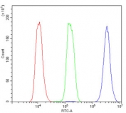 Flow cytometry testing of human U-2 OS cells with ZEB1 antibody at 1ug/million cells (blocked with goat sera); Red=cells alone, Green=isotype control, Blue= ZEB1 antibody.