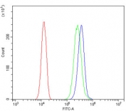 Flow cytometry testing of human SiHa cells with BAK1 antibody at 1ug/million cells (blocked with goat sera); Red=cells alone, Green=isotype control, Blue= BAK1 antibody.