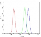 Flow cytometry testing of human PC-3 cells with BAK1 antibody at 1ug/million cells (blocked with goat sera); Red=cells alone, Green=isotype control, Blue= BAK1 antibody.