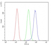 Flow cytometry testing of human A549 cells with IFNAR2 antibody at 1ug/million cells (blocked with goat sera); Red=cells alone, Green=isotype control, Blue= IFNAR2 antibody.