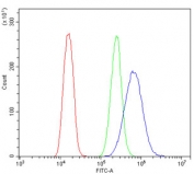 Flow cytometry testing of human U-2 OS cells with Hsp27 antibody at 1ug/million cells (blocked with goat sera); Red=cells alone, Green=isotype control, Blue= Hsp27 antibody.