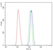 Flow cytometry testing of human U-2 OS cells with SAE2 antibody at 1ug/million cells (blocked with goat sera); Red=cells alone, Green=isotype control, Blue= SAE2 antibody.