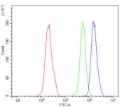 Flow cytometry testing of human PC-3 cells with PPCS antibody at 1ug/million cells (blocked with goat sera); Red=cells alone, Green=isotype control, Blue= PPCS antibody.