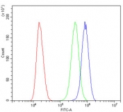 Flow cytometry testing of human SiHa cells with PPCS antibody at 1ug/million cells (blocked with goat sera); Red=cells alone, Green=isotype control, Blue= PPCS antibody.