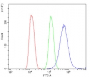 Flow cytometry testing of human U-2 OS cells with IRS1 antibody at 1ug/million cells (blocked with goat sera); Red=cells alone, Green=isotype control, Blue= IRS1 antibody.