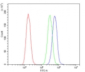 Flow cytometry testing of human A549 cells with SDHB antibody at 1ug/million cells (blocked with goat sera); Red=cells alone, Green=isotype control, Blue= SDHB antibody.