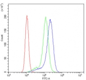 Flow cytometry testing of human K562 cells with RAB27A antibody at 1ug/million cells (blocked with goat sera); Red=cells alone, Green=isotype control, Blue= RAB27A antibody.