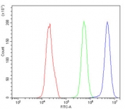 Flow cytometry testing of human PC-3 cells with Ran antibody at 1ug/million cells (blocked with goat sera); Red=cells alone, Green=isotype control, Blue= Ran antibody.