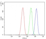 Flow cytometry testing of human HepG2 cells with EIF4A1/2/3 antibody at 1ug/million cells (blocked with goat sera); Red=cells alone, Green=isotype control, Blue= EIF4A1/2/3 antibody.