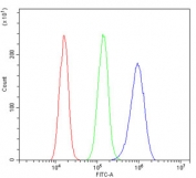 Flow cytometry testing of human A431 cells with COPE antibody at 1ug/million cells (blocked with goat sera); Red=cells alone, Green=isotype control, Blue= COPE antibody.