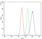 Flow cytometry testing of human HepG2 cells with COPE antibody at 1ug/million cells (blocked with goat sera); Red=cells alone, Green=isotype control, Blue= COPE antibody.