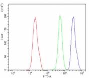 Flow cytometry testing of human PC-3 cells with NRF1 antibody at 1ug/million cells (blocked with goat sera); Red=cells alone, Green=isotype control, Blue= NRF1 antibody.