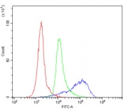 Flow cytometry testing of human PBMC with CD43 antibody at 1ug/million cells (blocked with goat sera); Red=cells alone, Green=isotype control, Blue= CD43 antibody.