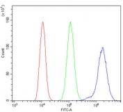 Flow cytometry testing of human ThP-1 cells with PRKCD antibody at 1ug/million cells (blocked with goat sera); Red=cells alone, Green=isotype control, Blue= PRKCD antibody.