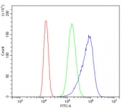 Flow cytometry testing of human Caco-2 cells with PRKCD antibody at 1ug/million cells (blocked with goat sera); Red=cells alone, Green=isotype control, Blue= PRKCD antibody.