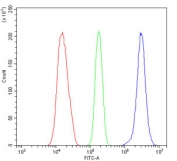 Flow cytometry testing of human 293T cells with PTBP1 antibody at 1ug/million cells (blocked with goat sera); Red=cells alone, Green=isotype control, Blue= PTBP1 antibody.