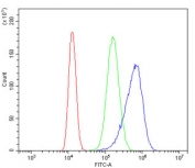 Flow cytometry testing of human Caco-2 cells with Fibronectin antibody at 1ug/million cells (blocked with goat sera); Red=cells alone, Green=isotype control, Blue= Fibronectin antibody.