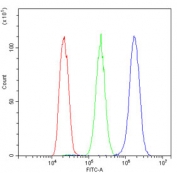 Flow cytometry testing of human HepG2 cells with MTTP antibody at 1ug/million cells (blocked with goat sera); Red=cells alone, Green=isotype control, Blue= MTTP antibody.