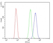 Flow cytometry testing of human HL60 cells with Merlin antibody at 1ug/million cells (blocked with goat sera); Red=cells alone, Green=isotype control, Blue= Merlin antibody.