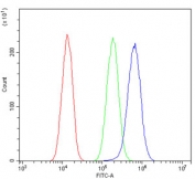 Flow cytometry testing of human A549 cells with Merlin antibody at 1ug/million cells (blocked with goat sera); Red=cells alone, Green=isotype control, Blue= Merlin antibody.