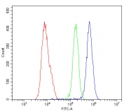 Flow cytometry testing of fixed and permeabilized human U-2 OS cells with NOTCH2 antibody at 1ug/million cells (blocked with goat sera); Red=cells alone, Green=isotype control, Blue= NOTCH2 antibody.
