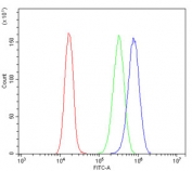 Flow cytometry testing of human Caco-2 cells with Orai1 antibody at 1ug/million cells (blocked with goat sera); Red=cells alone, Green=isotype control, Blue= Orai1 antibody.