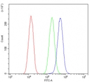 Flow cytometry testing of human A549 cells with Orai1 antibody at 1ug/million cells (blocked with goat sera); Red=cells alone, Green=isotype control, Blue= Orai1 antibody.