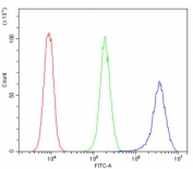 Flow cytometry testing of human ThP-1 cells with PTBP2 antibody at 1ug/million cells (blocked with goat sera); Red=cells alone, Green=isotype control, Blue= PTBP2 antibody.