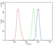 Flow cytometry testing of human HeLa cells with SMARCA2 antibody at 1ug/million cells (blocked with goat sera); Red=cells alone, Green=isotype control, Blue= SMARCA2 antibody.