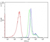 Flow cytometry testing of human PBM cells with CD22 antibody at 1ug/million cells (blocked with goat sera); Red=cells alone, Green=isotype control, Blue= CD22 antibody.