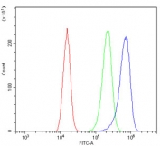 Flow cytometry testing of fixed and permeabilized human A431 cells with SYK antibody at 1ug/million cells (blocked with goat sera); Red=cells alone, Green=isotype control, Blue= SYK antibody.
