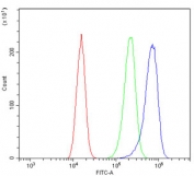 Flow cytometry testing of human A431 cells with SYK antibody at 1ug/million cells (blocked with goat sera); Red=cells alone, Green=isotype control, Blue= SYK antibody.