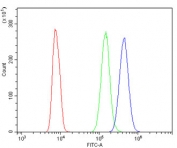 Flow cytometry testing of human HL60 cells with BLyS antibody at 1ug/million cells (blocked with goat sera); Red=cells alone, Green=isotype control, Blue= BLyS antibody.