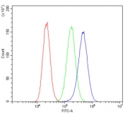 Flow cytometry testing of human U-87 MG cells with BLyS antibody at 1ug/million cells (blocked with goat sera); Red=cells alone, Green=isotype control, Blue= BLyS antibody.