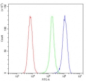 Flow cytometry testing of human 293T cells with DCK antibody at 1ug/million cells (blocked with goat sera); Red=cells alone, Green=isotype control, Blue= DCK antibody.