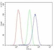 Flow cytometry testing of human U-87 MG cells with Thioredoxin 2 antibody at 1ug/million cells (blocked with goat sera); Red=cells alone, Green=isotype control, Blue= Thioredoxin 2 antibody.