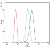 Flow cytometry testing of human U-87 MG cells with BubR1 antibody at 1ug/million cells (blocked with goat sera); Red=cells alone, Green=isotype control, Blue= BubR1 antibody.