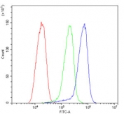 Flow cytometry testing of human HepG2 cells with Calreticulin antibody at 1ug/million cells (blocked with goat sera); Red=cells alone, Green=isotype control, Blue= Calreticulin antibody.