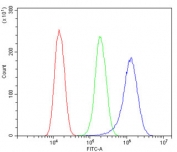 Flow cytometry testing of human SiHa cells with CYP2E1 antibody at 1ug/million cells (blocked with goat sera); Red=cells alone, Green=isotype control, Blue= CYP2E1 antibody.