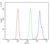 Flow cytometry testing of human A431 cells with DDR1 antibody at 1ug/million cells (blocked with goat sera); Red=cells alone, Green=isotype control, Blue= DDR1 antibody.