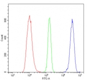 Flow cytometry testing of human HL-60 cells with DDX5 antibody at 1ug/million cells (blocked with goat sera); Red=cells alone, Green=isotype control, Blue= DDX5 antibody.