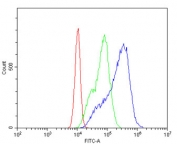 Flow cytometry testing of human Caco-2 cells with Filamin A antibody at 1ug/million cells (blocked with goat sera); Red=cells alone, Green=isotype control, Blue= Filamin A antibody.