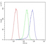 Flow cytometry testing of fixed and permeabilized human HepG2 cells with GRM2 antibody at 1ug/million cells (blocked with goat sera); Red=cells alone, Green=isotype control, Blue= GRM2 antibody.